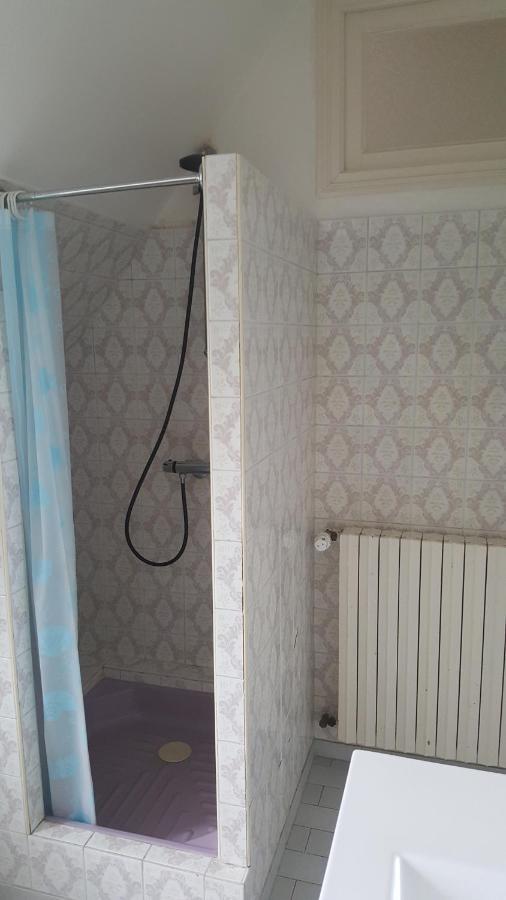 Chambre D'Hote Les Iles Конкарно Екстер'єр фото